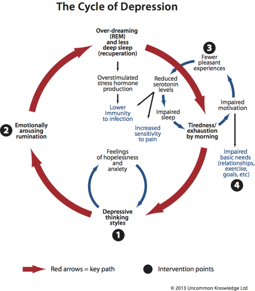 How Depression Works The Cycle Of Depression How Depression Works The Cycle Of Depression